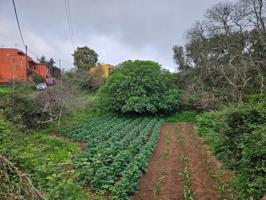 Terreno en Venta en Ravelo photo 0