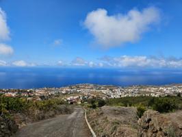 Terreno con viña en Santa Úrsula photo 0