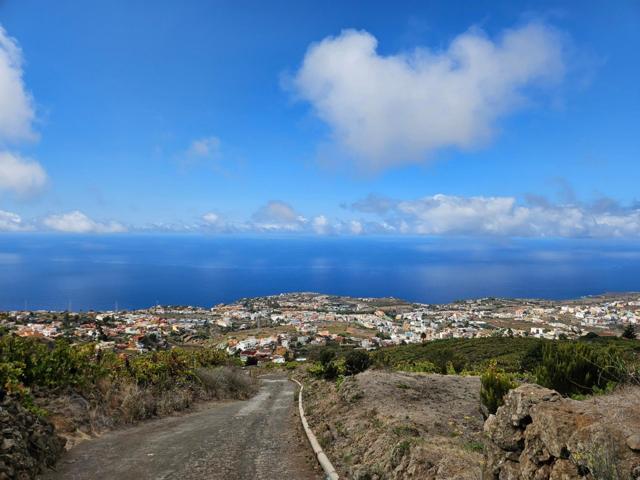 Terreno con viña en Santa Úrsula photo 0