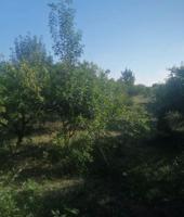Agrícola En venta en Castellón de la Plana-Castelló de la Plana photo 0