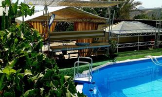 🌿 ¡Auténtica Casa de Campo Rústica con Olivar! photo 0