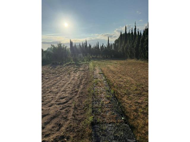 Huerto en venta photo 0