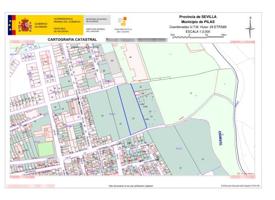 Terreno en venta en PILAS de 6700 m2 photo 0