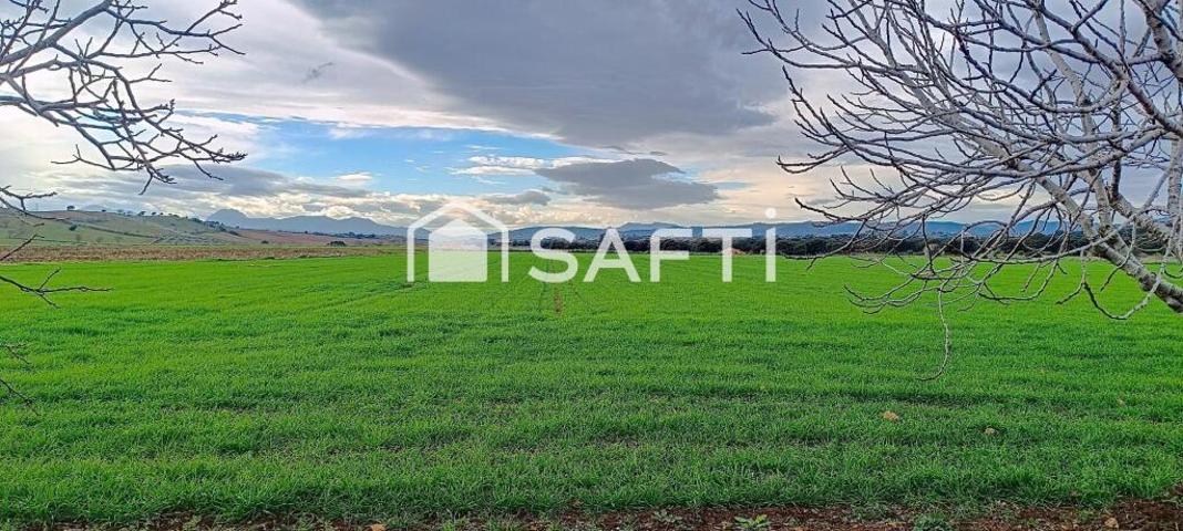 Gran finca de 59.000 m² con vivienda y almacenes photo 0