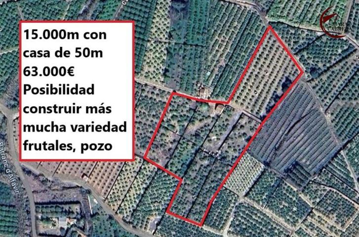Otro - Almiserat photo 0