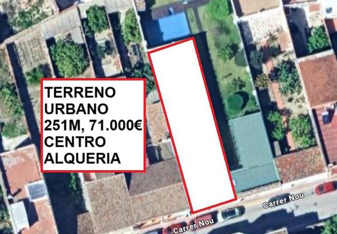 Suelo urbano - Palmera photo 0