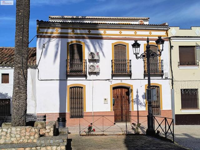 MAGNÍFICA VIVIENDA EN ALMADÉN DE LA PLATA photo 0
