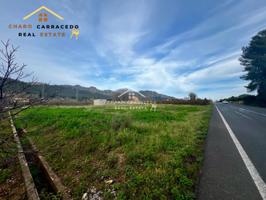 EN VENTA PRECIOSA FINCA RUSTICA DE 4606 M2 JUNTO A LA BARRACA DE AGUAS VIVAS photo 0