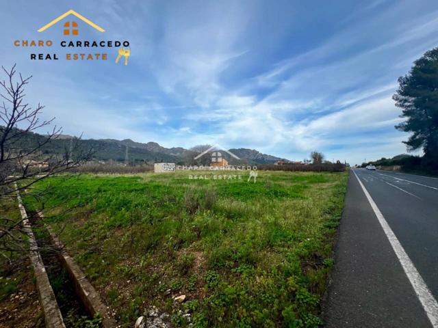 EN VENTA PRECIOSA FINCA RUSTICA DE 4606 M2 JUNTO A LA BARRACA DE AGUAS VIVAS photo 0