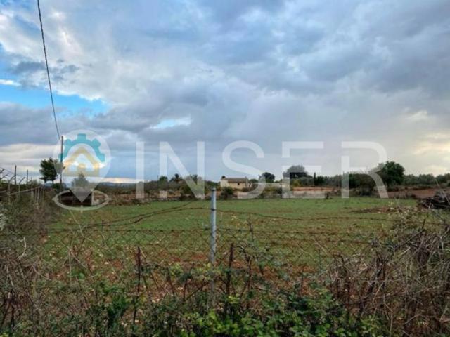 Terreno Urbanizable En venta en Inca photo 0