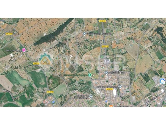 Otro En venta en Inca photo 0