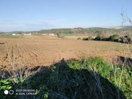 Suelo rústico en Venta en Arcos De La Frontera Cádiz photo 0