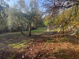 Casa De Campo En venta en Andalucia, Iznajar photo 0