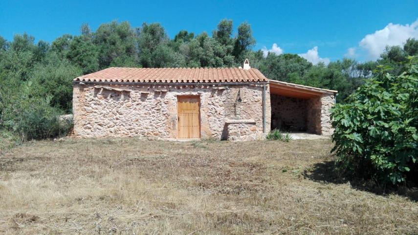 Venta de finca de 7.000 m2 con casita reformada en Son Tano (Sencelles) photo 0