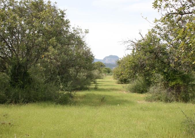 Se vende parcela rúsitca de 20.714 m2 en camí son Roig (Binissalem) photo 0