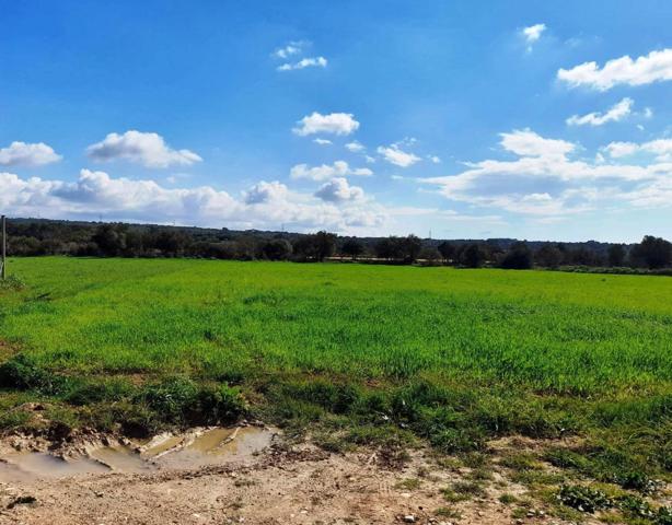 Casa de campo de 384 m2 en parcela de 22.820 m2 en Costitx photo 0