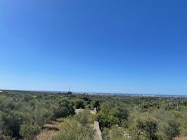 Se vende solar edificable en Sa Cabaneta, Marratxí photo 0