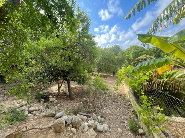 Gran casa con jardín en Campanet photo 0