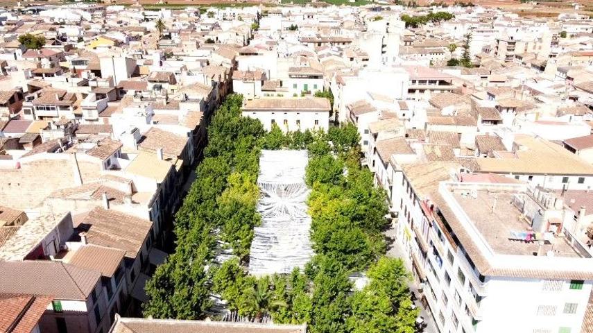 Oportunidad de inversión: Cesión de crédito garantizado con edificio en Sa Pobla photo 0