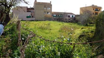 A la venta solar edificable en Lloseta, comarca de Es Raiguer photo 0