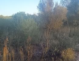 SE VENDE PARCELA EN SANTA EUGENIA DE 2.000 m² photo 0