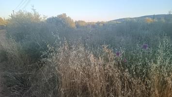 SE VENDE PARCELA EN SANTA EUGENIA de 3000 m2 photo 0