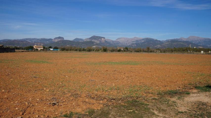 Se venda finca con caseta en terreno urbanizable, en Binissalem photo 0