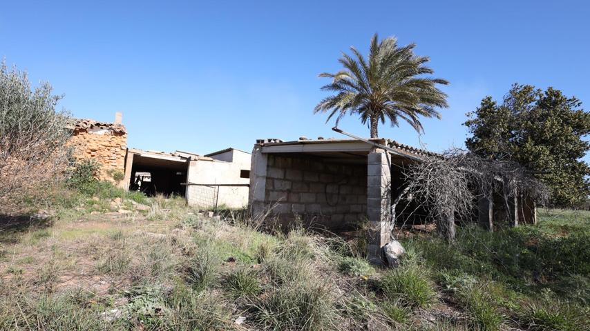 Finca rustica en venta en Binissalem photo 0