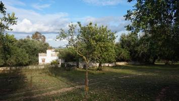 Casa decampo en venta en Binissalem photo 0