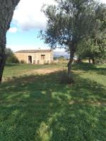 Finca rústica en Santa María del Camí photo 0