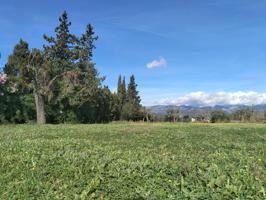 Terreno en Santa María del Camí photo 0