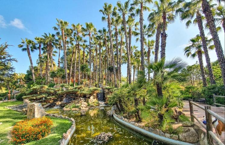 Oportunidad de inversión en Albatera (Alicante) photo 0