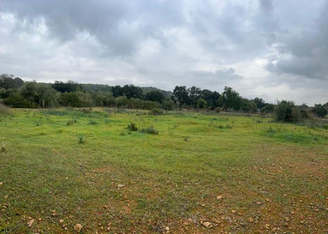 Finca rústica con caseta a reformar en Santa Eugenia photo 0