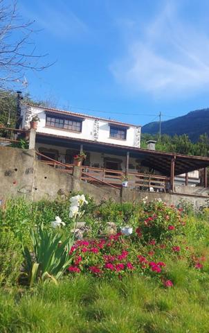 Finca rústica con casa y vistas panorámicas en Los Realejos photo 0