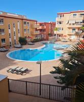 Callao Salvaje: Tranquilidad Junto al Mar photo 0