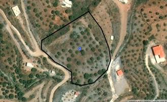 Agrícola En venta en Vélez de Benaudalla photo 0
