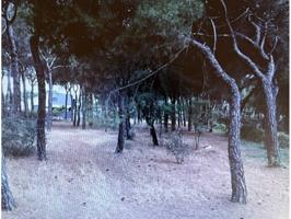 Terreno en venta en Laguna de Duero photo 0