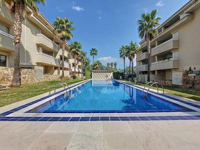 Planta baja en Pego con terraza, piscina y garaje photo 0