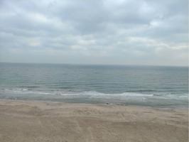 primera linea de playa photo 0