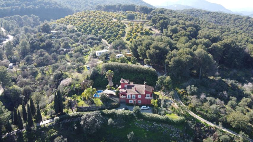Villa En venta en Monda photo 0