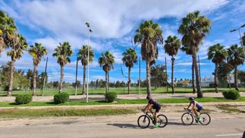 Local En venta en Oliva photo 0