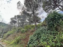 Agrícola En venta en Vilanova del Vallès photo 0