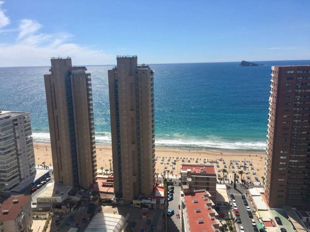 espectacular estudio con preciosas vistas al mar a tan solo 2 minutos andando de la playa Levante Benidorm photo 0