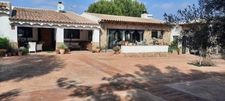 Espléndida finca en Ricote photo 0