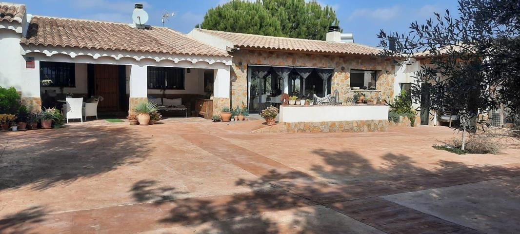 Espléndida finca con vivienda en Ricote photo 0