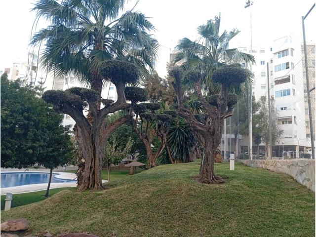 Piso en venta en San Gabriel photo 0