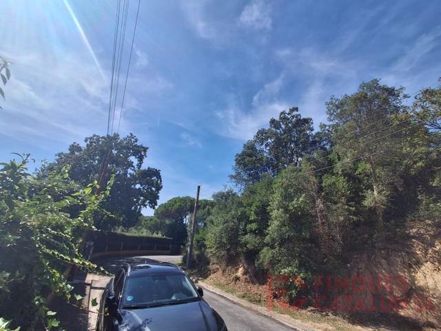 Terrenos Edificables En venta en Caldes De Malavella photo 0