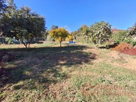 Terrenos Edificables En venta en Bescanó photo 0