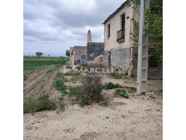 🏡 Casa de huerta en venta entre Dolores y Daya Nueva – Gran terreno de cultivo con suministros instalados photo 0