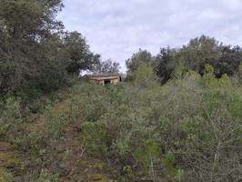 Terreno Urbanizable En venta en Costitx, Costitx photo 0